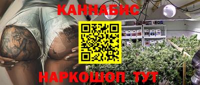 шишки Заволжье