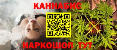 шишки Заволжье