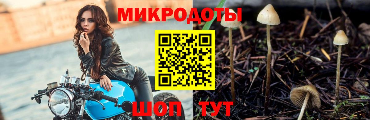 где купить   Псилоцибиновые грибы MAGIC MUSHROOMS  Вход с VPN  Карпинск  Псилоцибиновые грибы Cubensis 